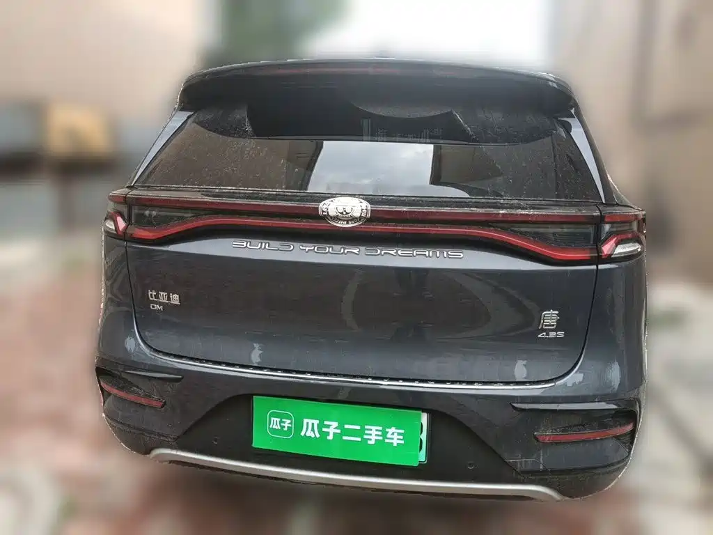 BYD Tang New Energy 2021 — фото 4