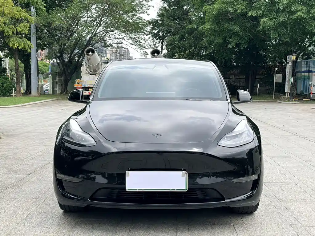 Tesla Model Y 2021 — фото 2