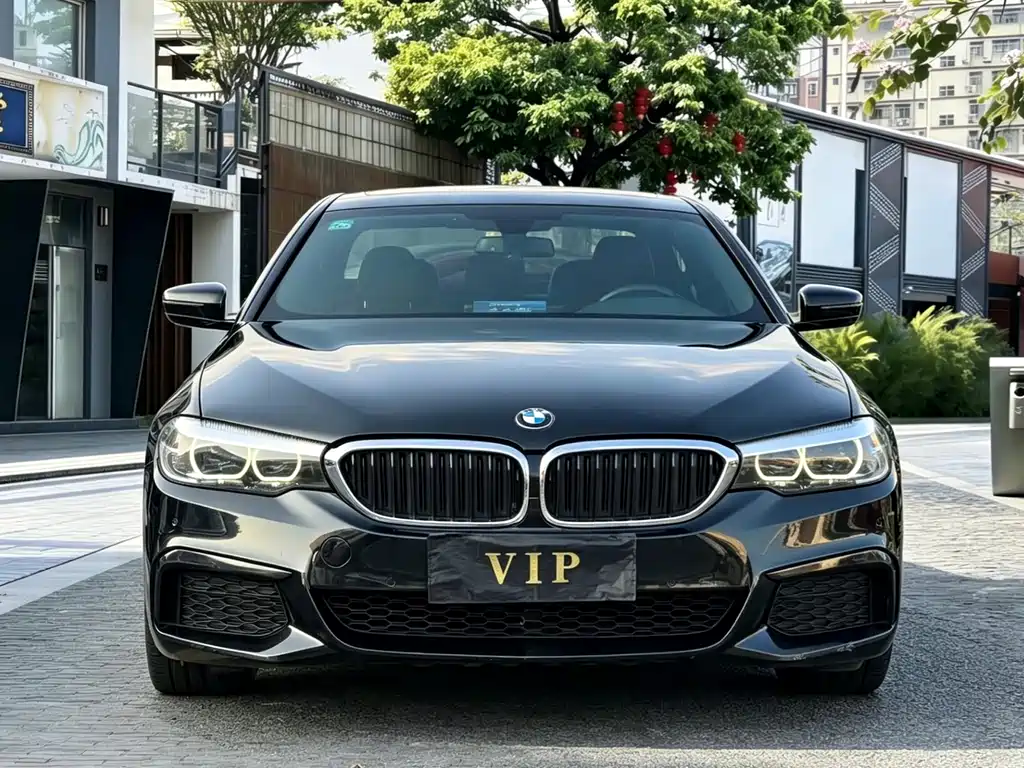 BMW 5 Series 2019 — фото 2