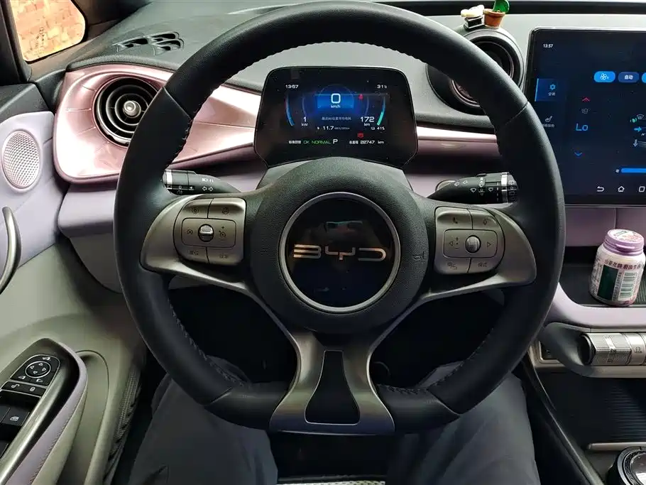 BYD Dolphin 2023 — фото 15