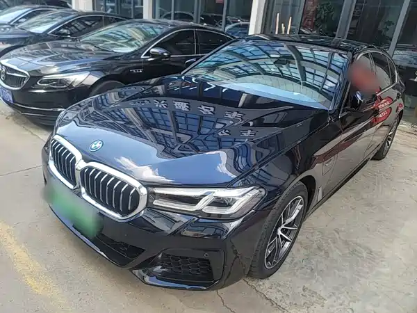BMW 5 Series New Energy 2023