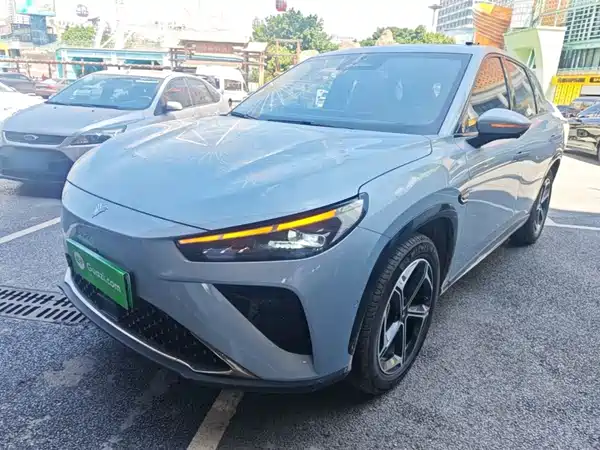Neta L 2024
