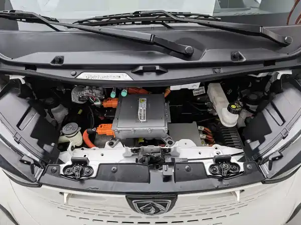 Baojun E100 2019