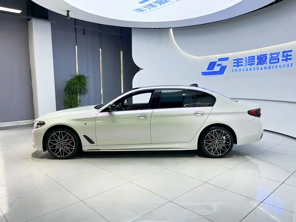 BMW 5 Series 2017 — фото 3