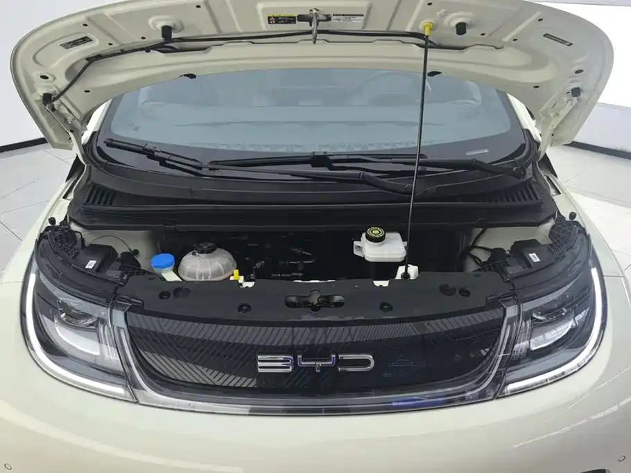 BYD Dolphin 2023 — фото 10