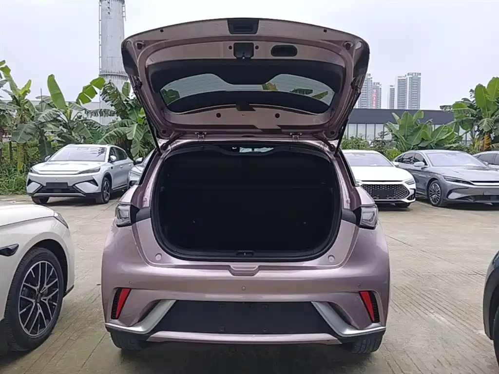 BYD Dolphin 2023 — фото 19