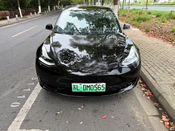 Tesla Model 3 2019