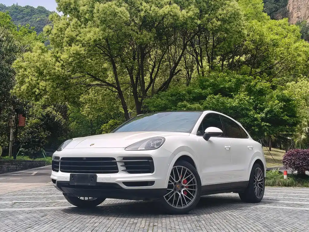 Porsche Cayenne 2022 — фото 1