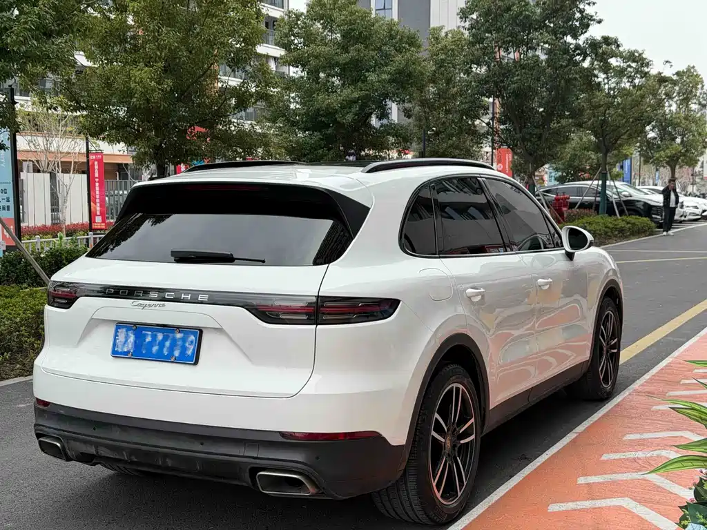 Porsche Cayenne 2019 — фото 11