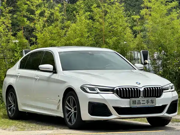 BMW 5 Series 2022