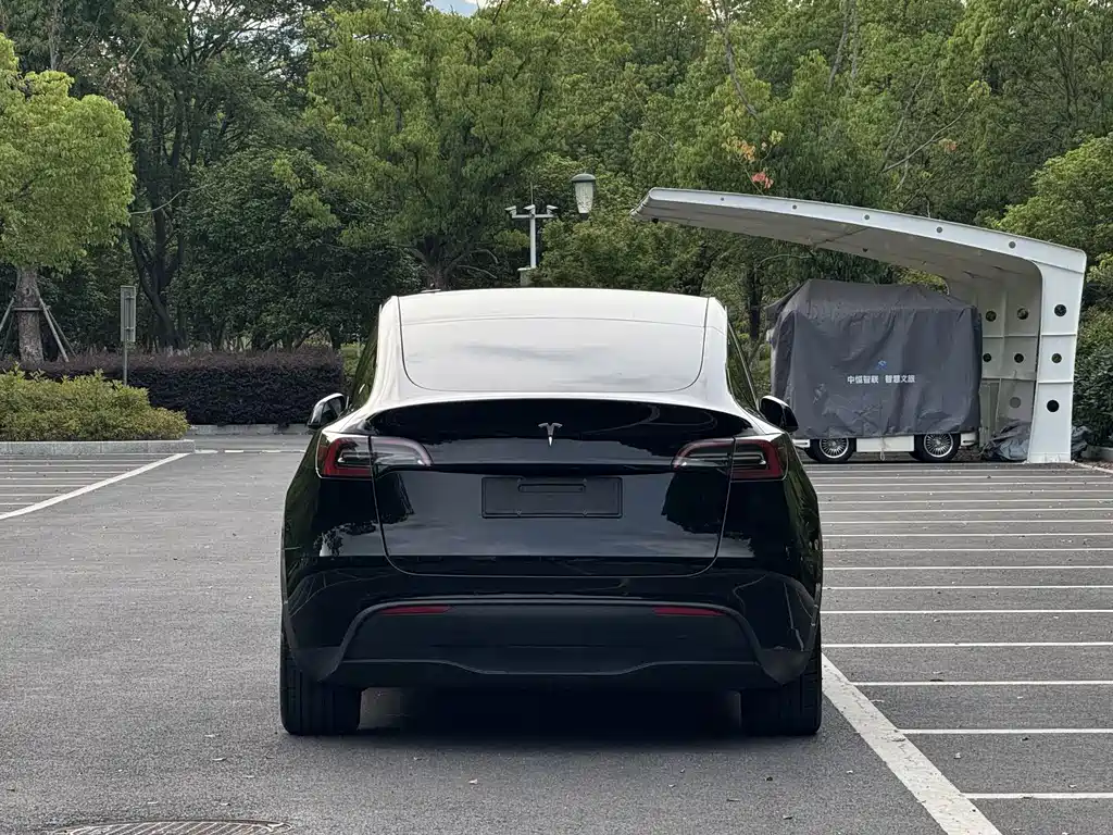 Tesla Model Y 2023 — фото 5