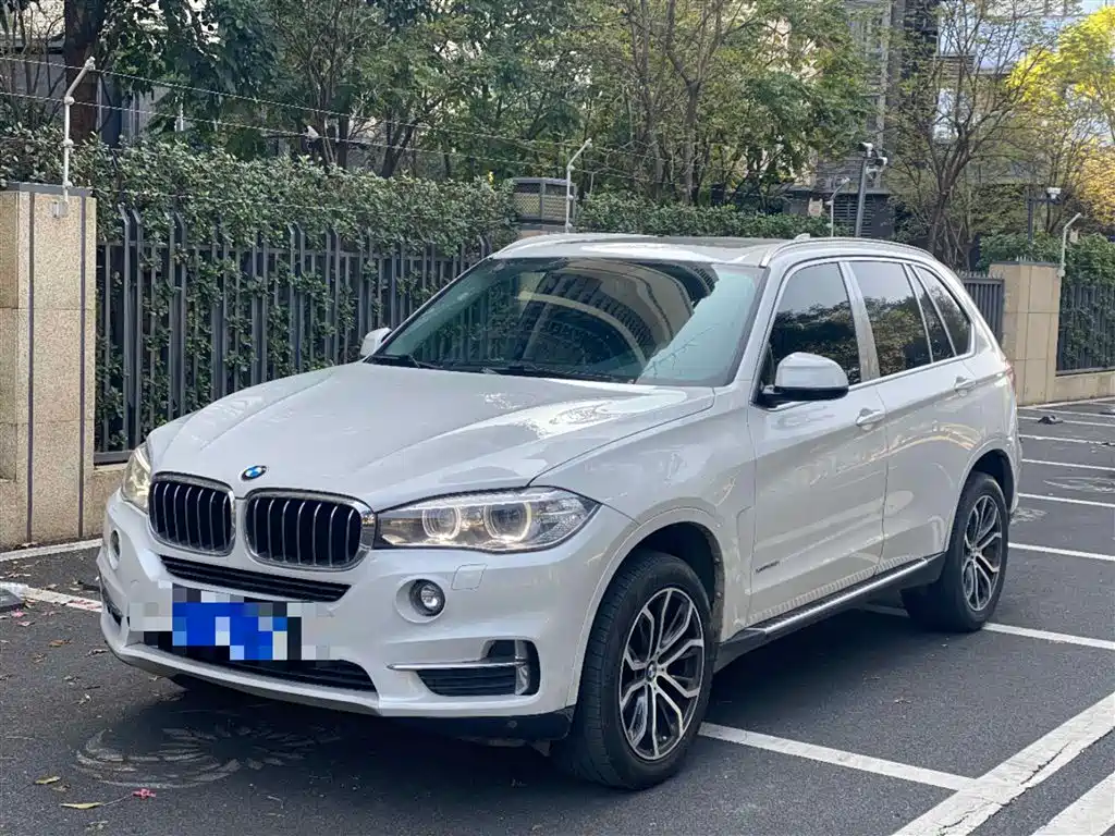 BMW X5 2017 — фото 1
