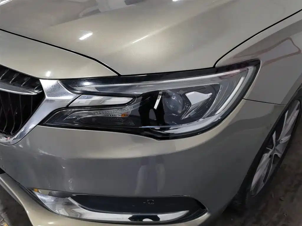 Buick GL6 2019