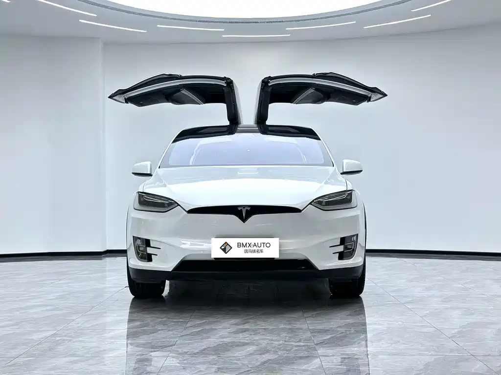 Tesla Model X 2017 — фото 5
