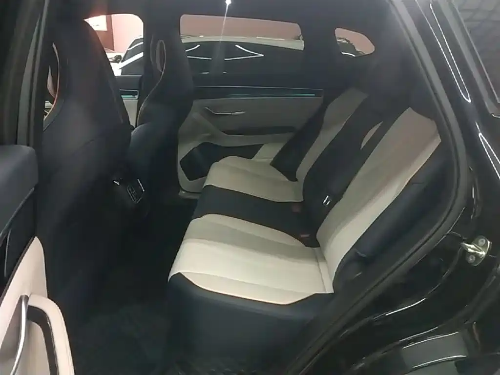 BYD PLUS New Energy 2023 — фото 17