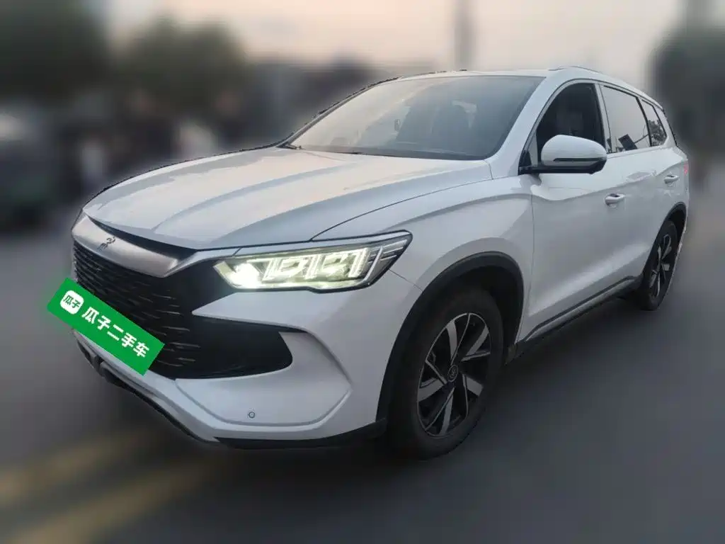 BYD Pro New Energy 2024 — фото 2