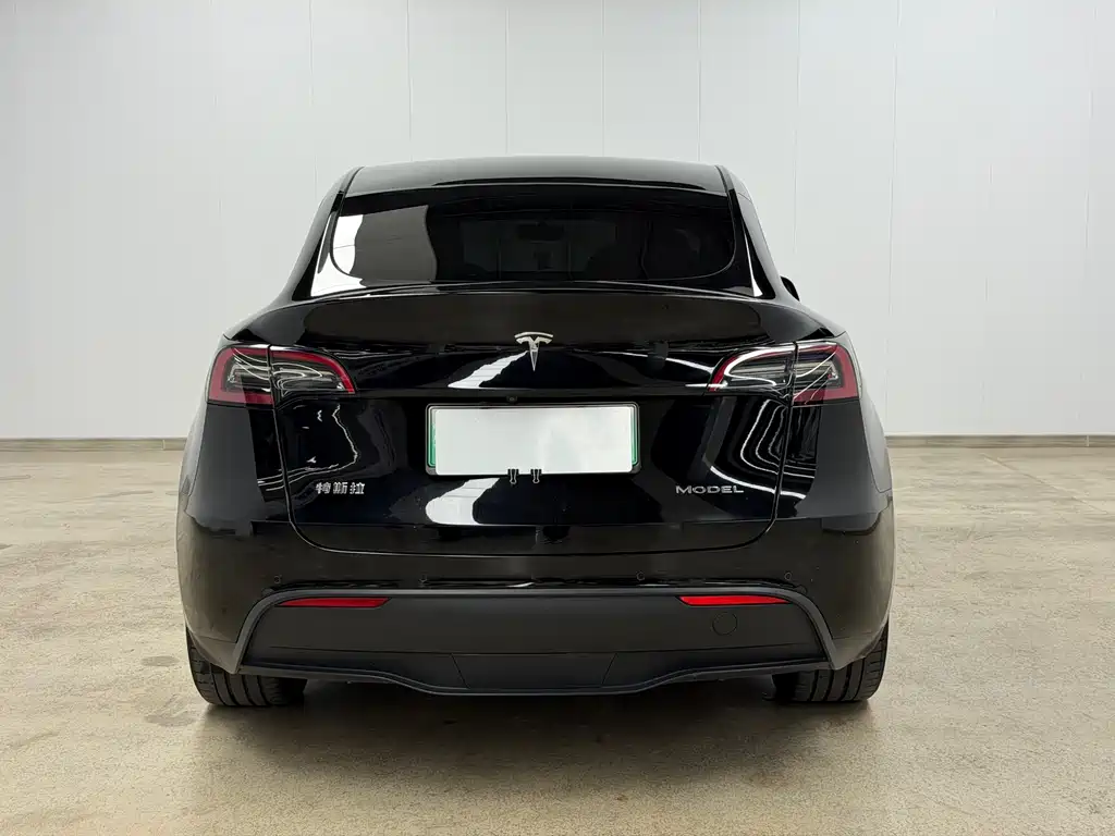 Tesla Model Y 2021 — фото 4