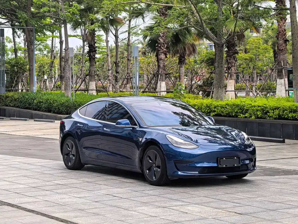 Tesla Model 3 2020 — фото 3