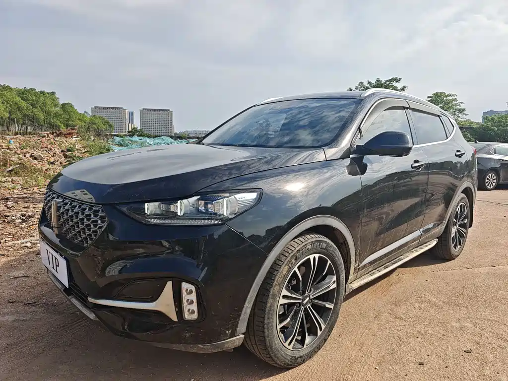Wey VV6 2020