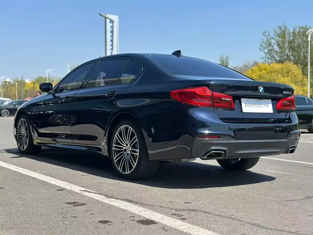 BMW 5 Series 2018 — фото 6