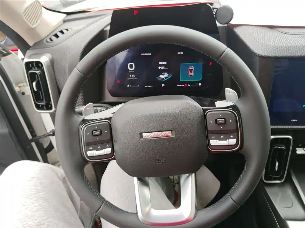 Haval Big Dog 2020 — фото 11