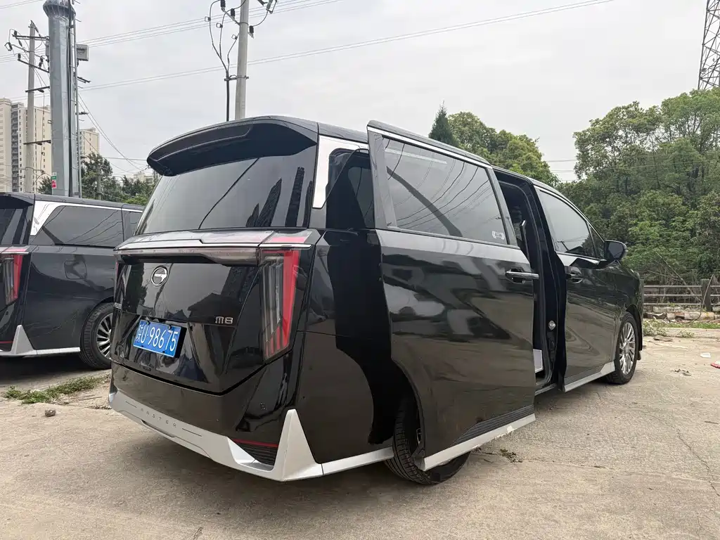 GAC Motor Trumpchi M8 2023 — фото 16