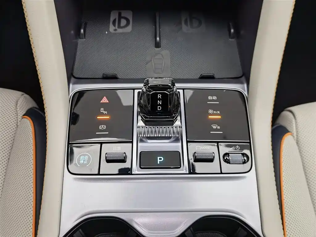 BYD PLUS New Energy 2024 — фото 13