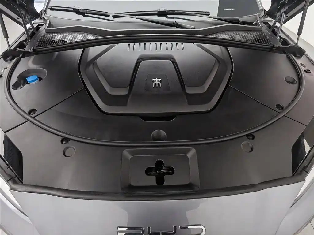 BYD PLUS New Energy 2024 — фото 6