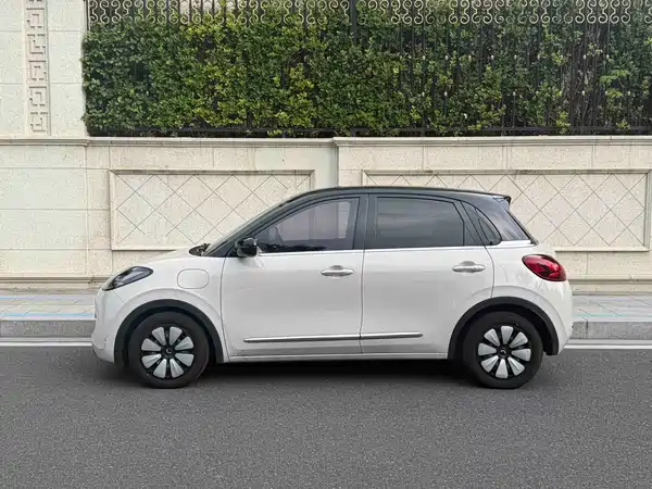Wuling Bingo 2024