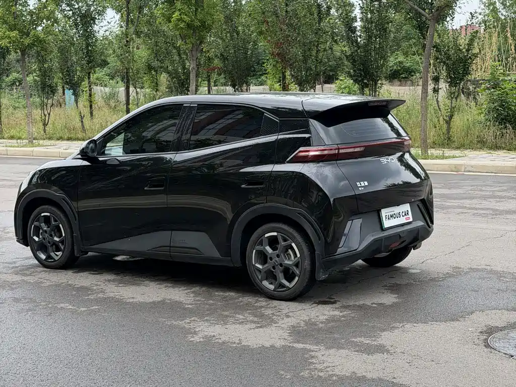 BYD Seagull 2024