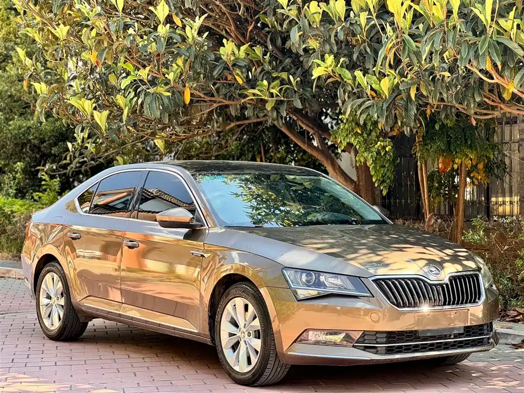 Skoda Superb 2019 — фото 8