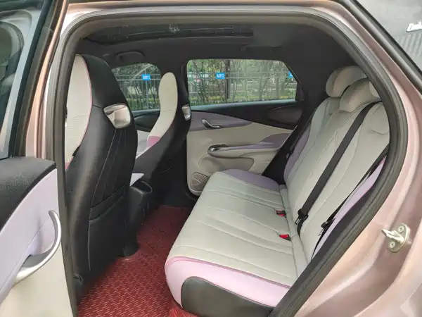 BYD Dolphin 2022