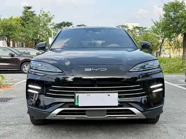 BYD Song PLUS New Energy 2024