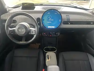 MINI MINI 2024