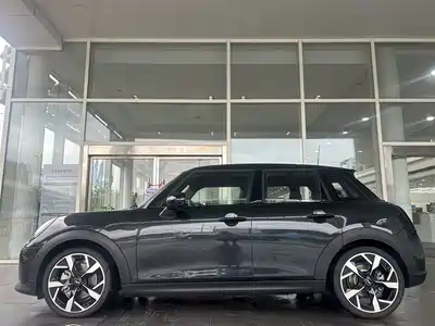 MINI MINI 2024