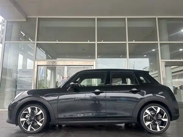MINI MINI 2024