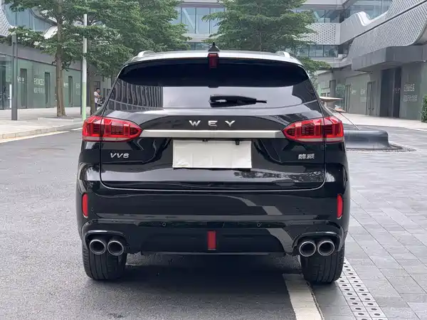 Wey VV6 2020