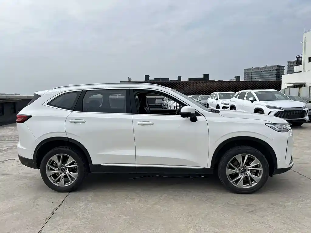 Haval H6 2021