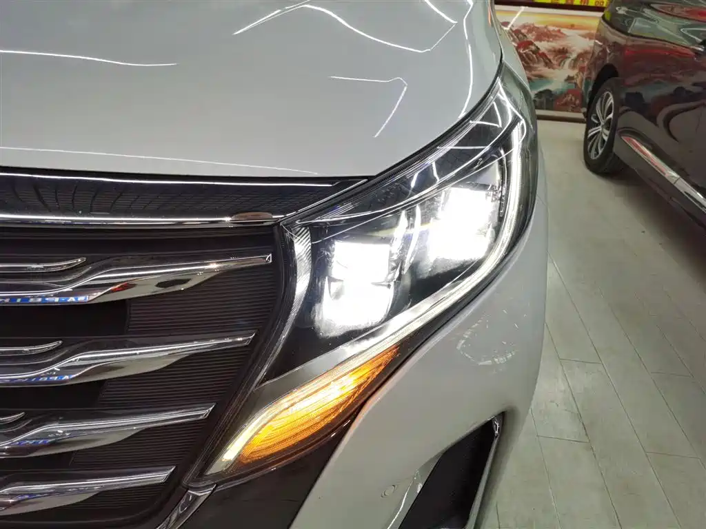 GAC Motor Trumpchi M8 2020 — фото 15
