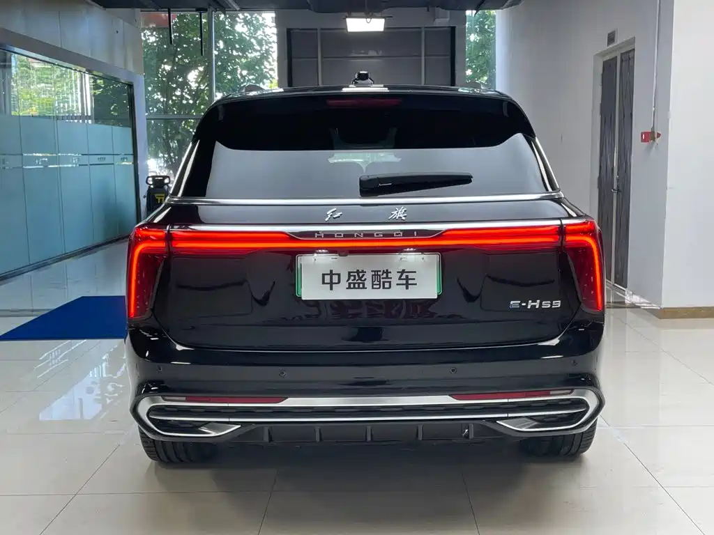 Hongqi E-HS9 2021 — фото 23