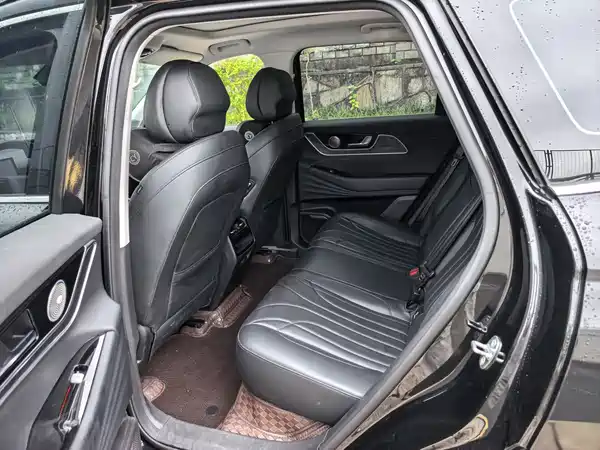 Chery Fengyun T9 2024