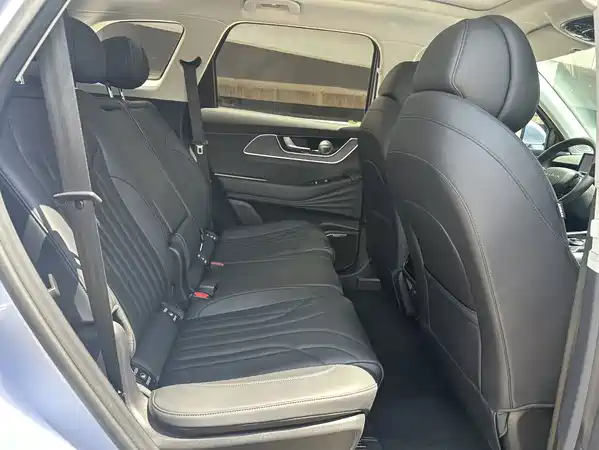 Chery Fengyun T9 2024