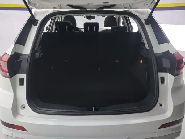 Haval H6 Coupe 2019