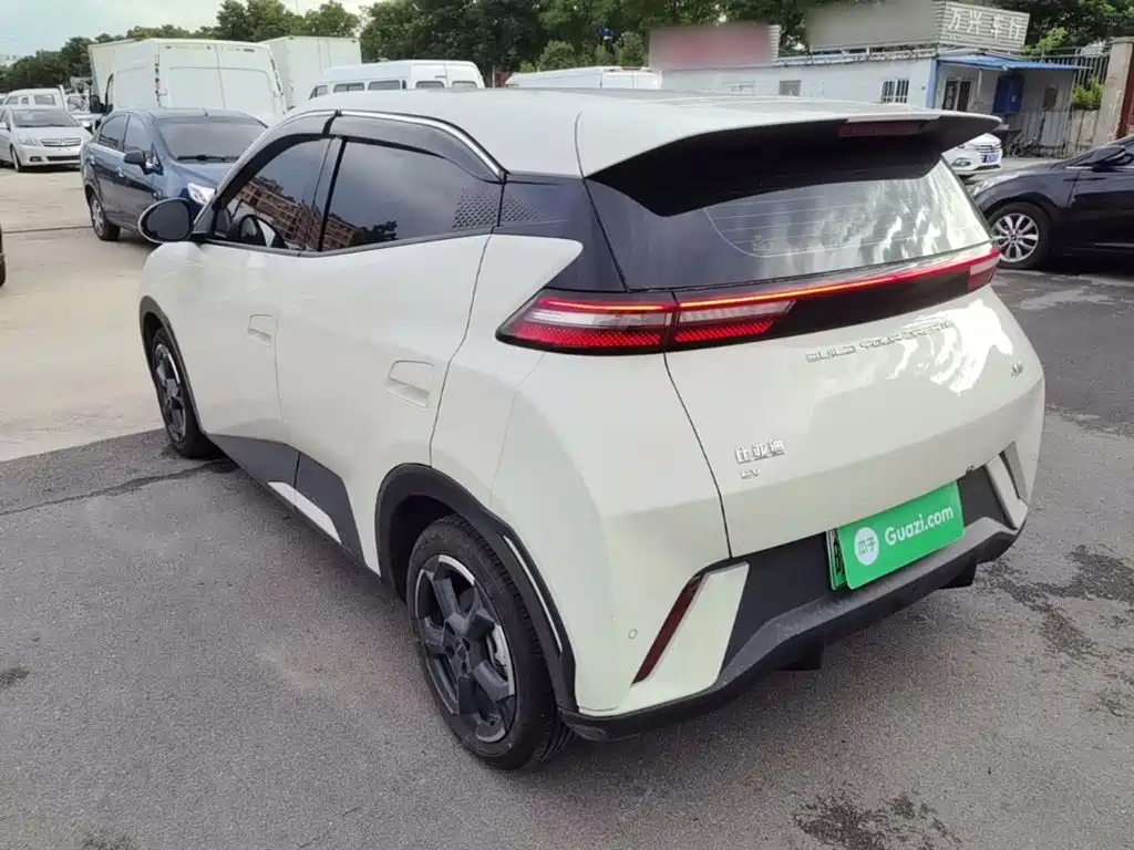 BYD Seagull 2024