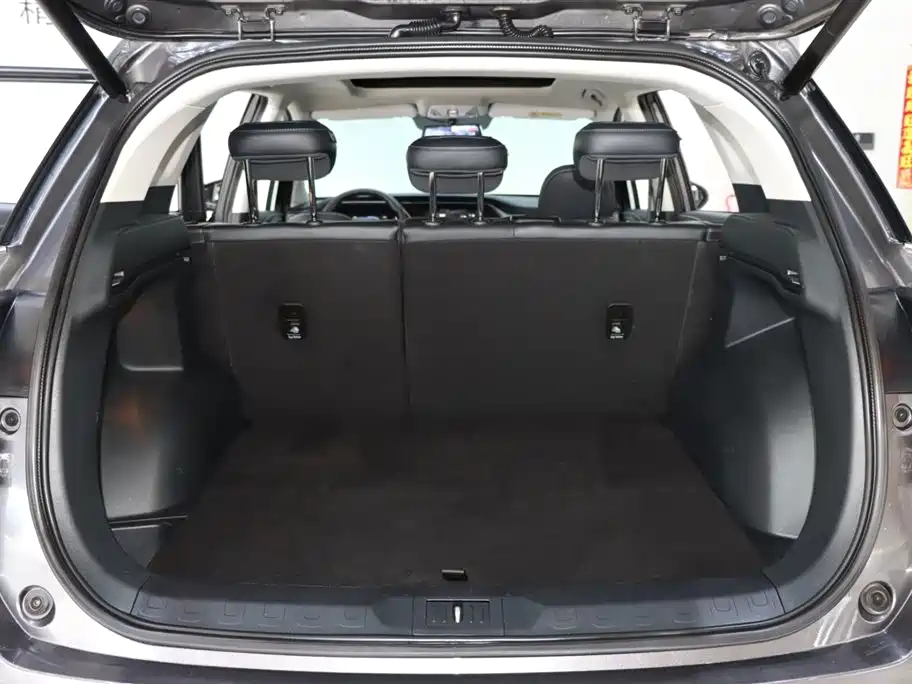 GAC Motor Trumpchi GS4 2023 — фото 16