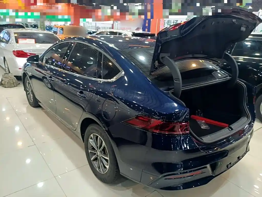 BYD Qin PLUS 2024 — фото 23