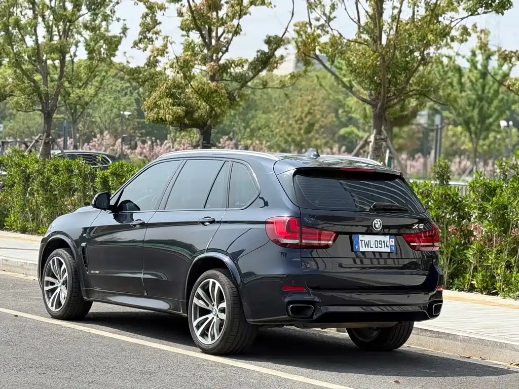 BMW X5 2017 — фото 10