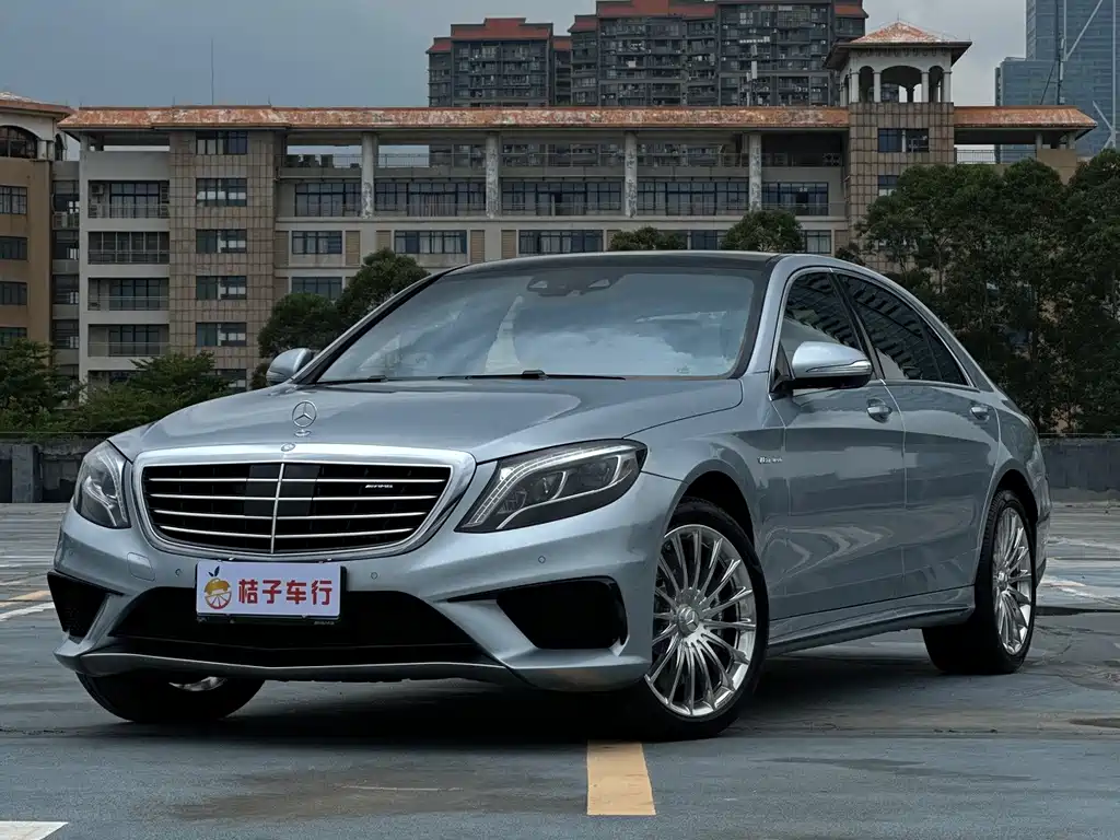 Mercedes-Benz S-Class AMG 2014 — фото 18