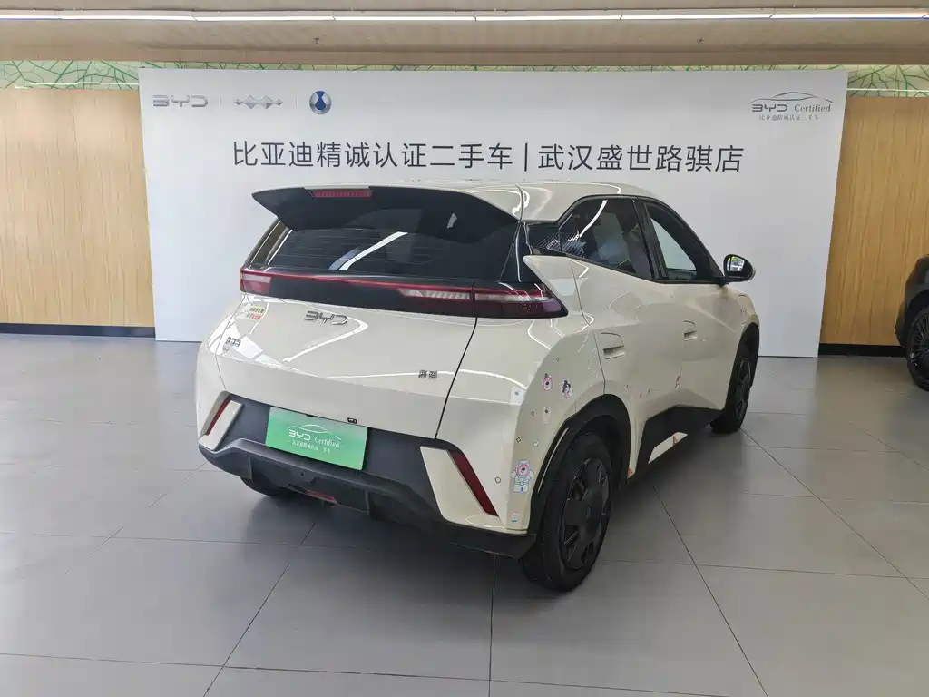 BYD Seagull 2024