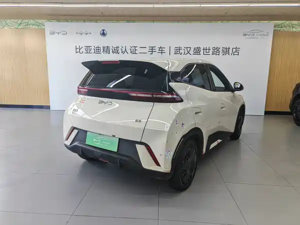 BYD Seagull 2024